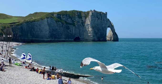 Paris: Normandy Rouen, Honfleur and Etretat Small-Group Tour - Return to Paris