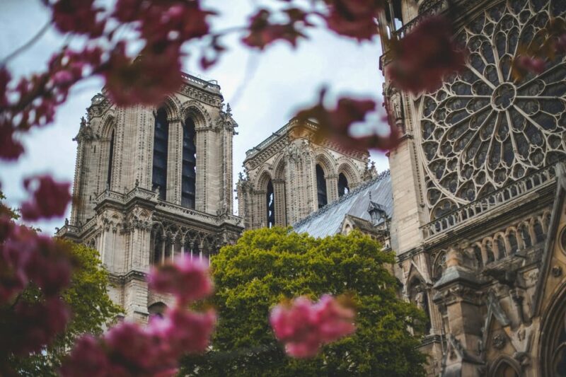 Paris: Notre Dame Cathedral With an Expert – Small Group - The History and Significance of Notre Dame Cathedral
