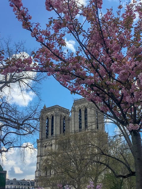 Paris: Notre Dame Exteriors and Ile De La Cité Walking Tour - Highlights of the Tour