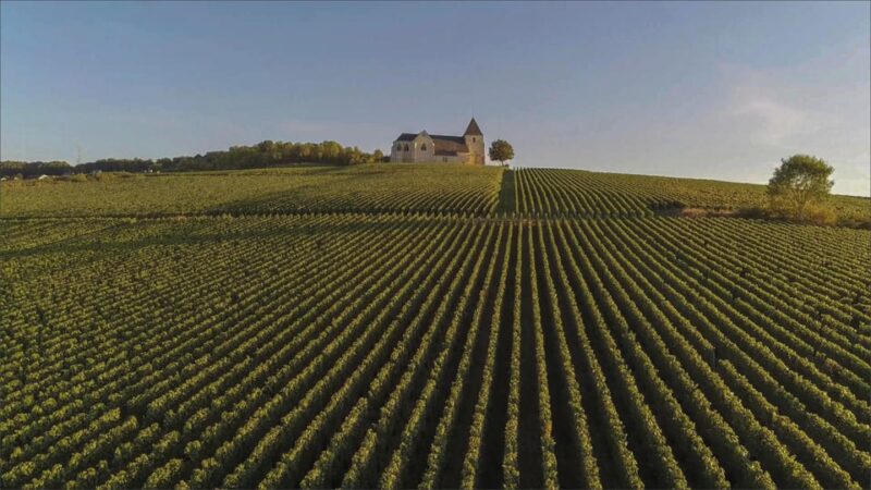 Paris: Private Chauffeur-Driven Champagne Region Day Trip - The Champagne Region