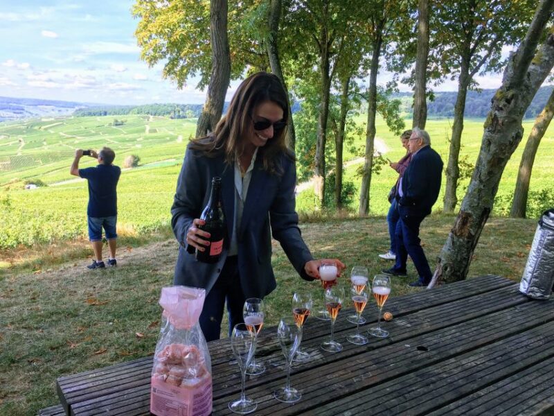Paris: Private Day Trip to Champagne With 8 Tastings & Lunch - Champagne House Visits and Tastings