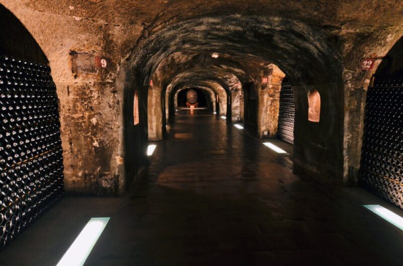 Paris: Private Day Trip to Champagne With 8 Tastings & Lunch - Scenic Drive Through Champagne Region