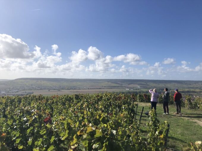 Paris: Private Day Trip to Champagne With 8 Tastings & Lunch - Important Information for Visitors