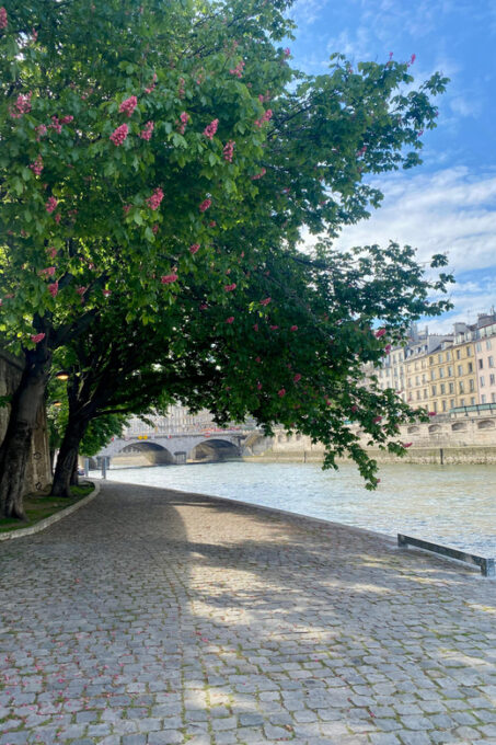 Paris: Private Early Morning City Walking Tour - Admire Iconic Locations