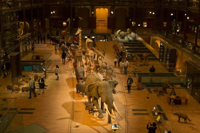 Paris: Private Family Tour, Highlights and Museum Visit - Private Tour Benefits