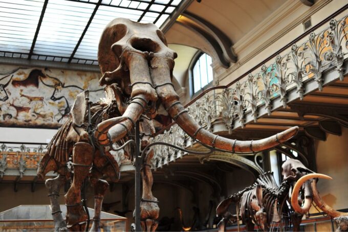 Paris: Private Family Tour, Highlights and Museum Visit - Museum Exploration