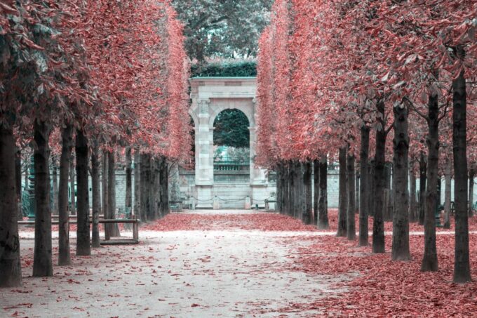 Paris Private Full Day Tour - Tickets to Louvre & Lunch - Gastronomic Experience