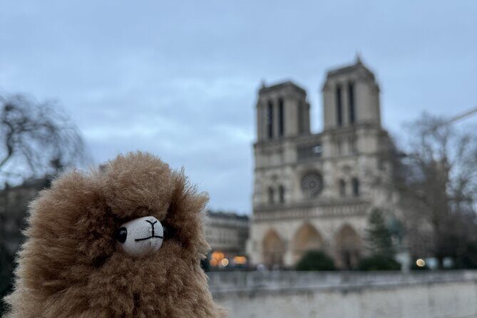 Paris Private Guided Walking Tour with Notre-Dame Outdoor - A Detailed Look at the Paris Private Guided Walking Tour