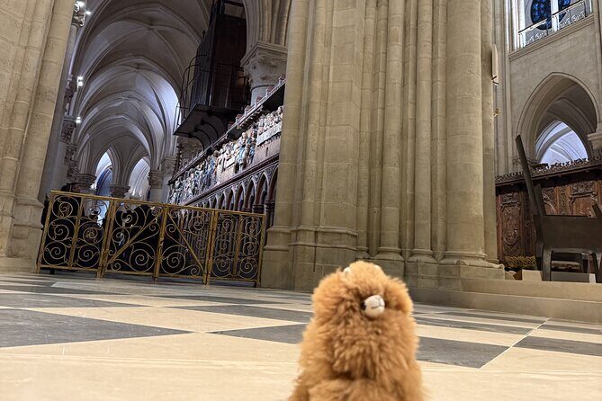 Paris Private Guided Walking Tour with Notre-Dame Outdoor - FAQ