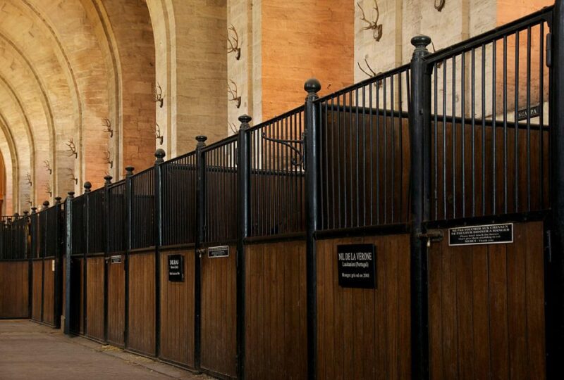 Paris: Private Tour of Domaine De Chantilly Ticket&Transfer - Language Support and Accessibility