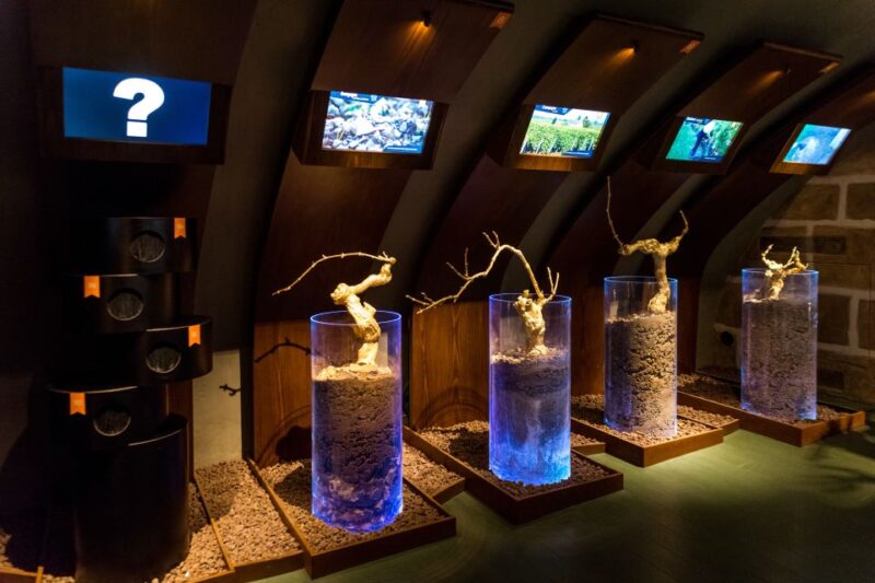 Paris: the Caves of Louvre Guided Tour With Wine Tastings - Customer Reviews and Ratings