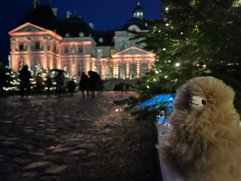 Paris: Vaux-le-Vicomte Private Guided Tour - Tour Details