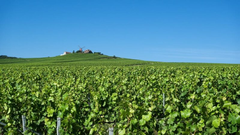 Paris VIP: Champagne Region Private Chauffeur Driven 12hrs - Tour Highlights