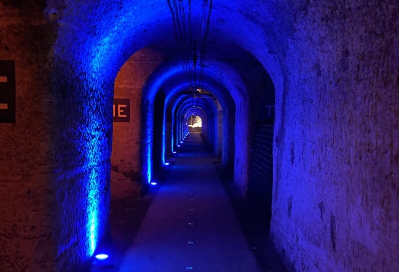 Paris Wine Day Tours All Inclusive Champagne Tour From Paris - Itinerary Highlights