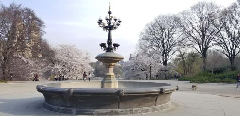 Parisian New York walking tour - Key Points