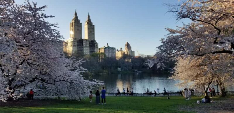 Parisian New York walking tour - Practicalities: What to Know Before Booking