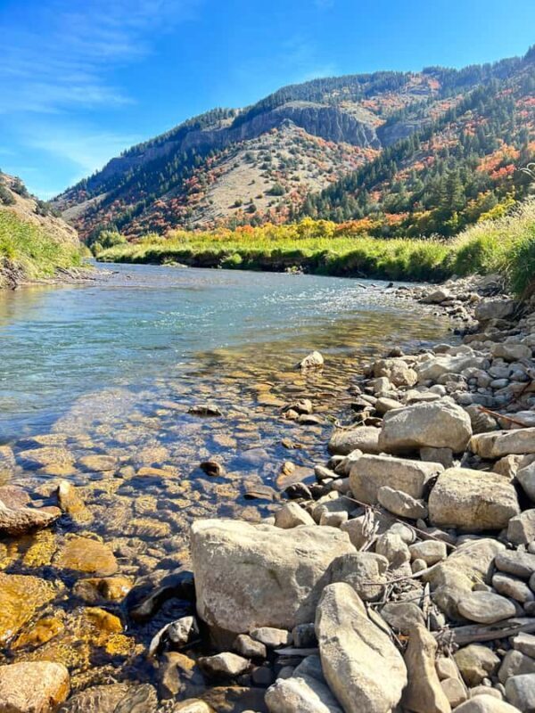 Park City: Guided Fly Fishing on Provo & Weber Rivers - An Introduction to Utah’s Fly Fishing Adventure