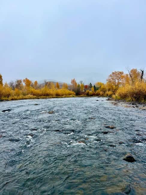 Park City: Guided Fly Fishing on Provo & Weber Rivers - An In-Depth Look at the Experience