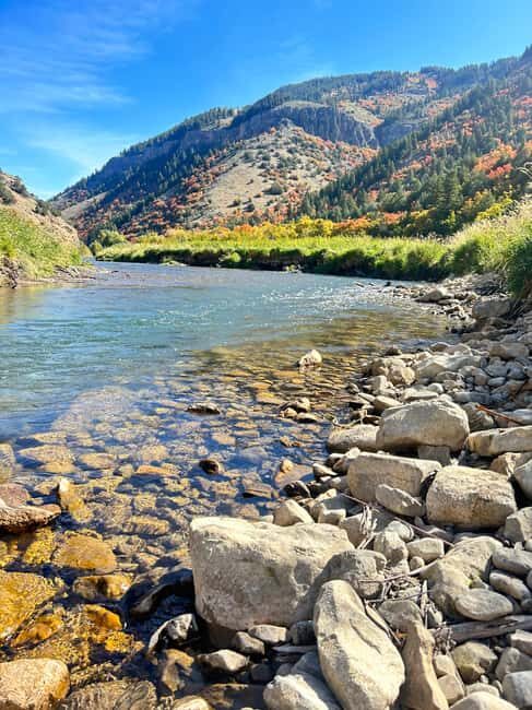 Park City: Guided Fly Fishing on Provo & Weber Rivers - The Experience Provider: Wild Utah Fly Fishing