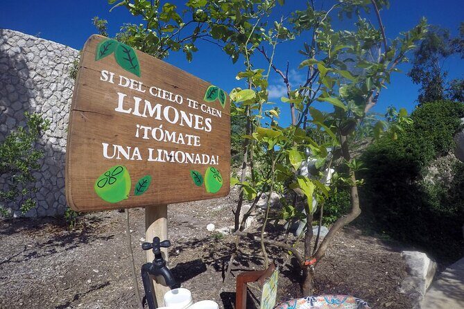 Park Xenses - The Best Pictures with Dimension only from Cancun - Who Will Love Xenses?