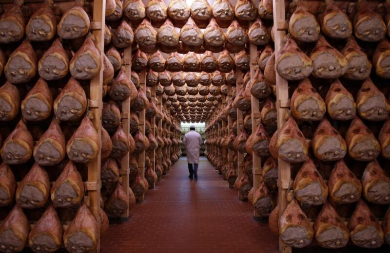 Parma: Full Day Food Tour with Tastings and Lunch - Who Should Consider This Tour?