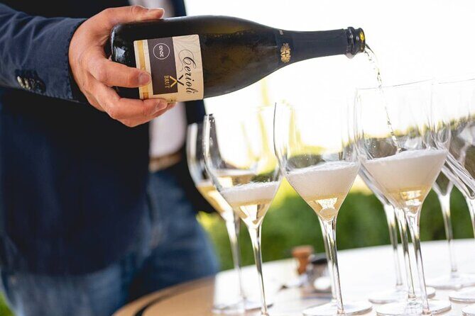 Parma Hills and Wine Tasting with Food Platter - A Taste of Parma: Wine Tasting and Vineyard Tour in Emilia-Romagna