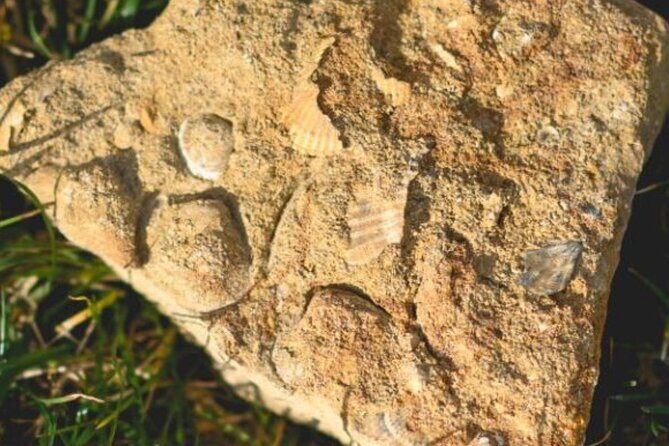 Parma Hills and Wine Tasting with Food Platter - In closing