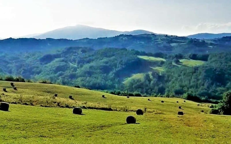 Parma or 5 Terre: E-Bike Tour w/ Parmigiano and Ham Dinner - The Sum Up: Who Is This Tour Best For?