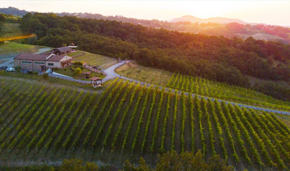 Parma: Winery Tour and Tasting - Itinerary and Experience