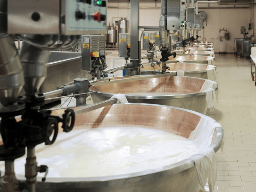 Parmesan Cheese Factory Tour & Tasting Near Parma - Tasting the Aged Cheeses