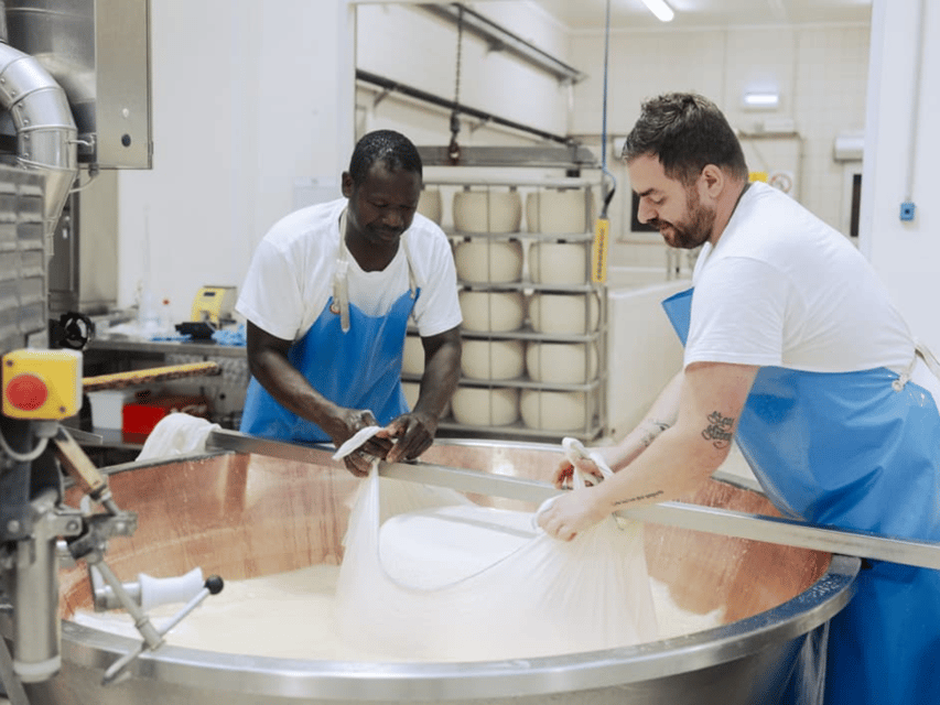 Parmesan Cheese Factory Tour & Tasting Near Parma - Appreciating Sustainable Practices