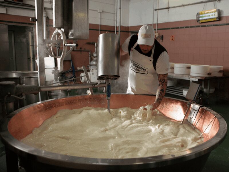 Parmesan Cheese Tour & Tasting near Modena - Introduction