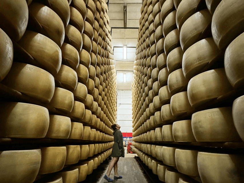 Parmesan Cheese Tour & Tasting Near Modena - Family-Run Dairy and Sustainable Practices