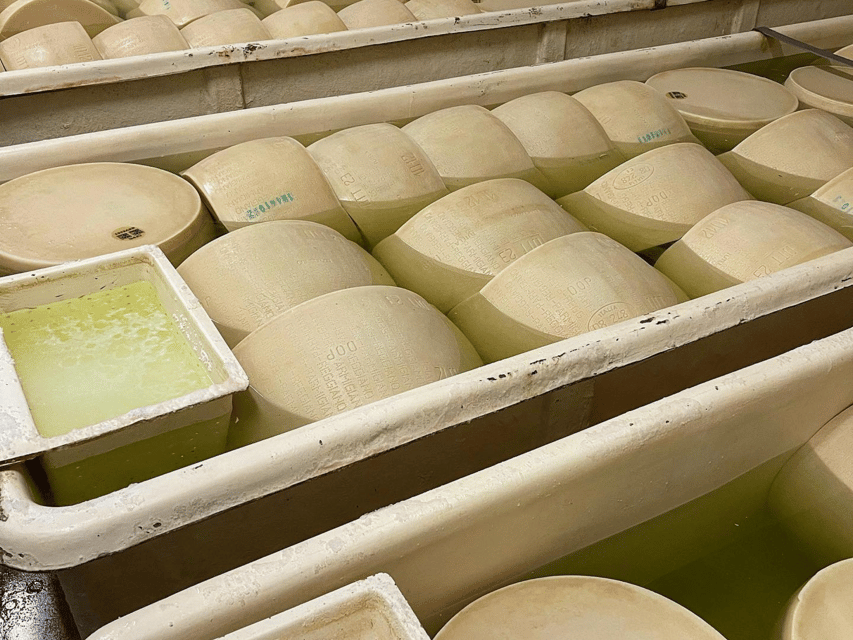 Parmesan Cheese Tour & Tasting Near Modena - Customer Testimonials