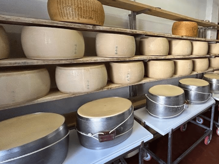 Parmesan Wheels Near Parma: Tasting & Factory Tour - Pricing and Reservation
