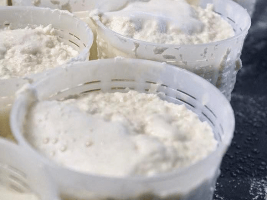 Parmesan Wheels Near Parma: Tasting & Factory Tour - Getting There