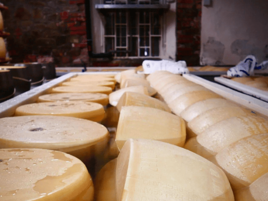 Parmesan Wheels Near Parma: Tasting & Factory Tour - Ask Away