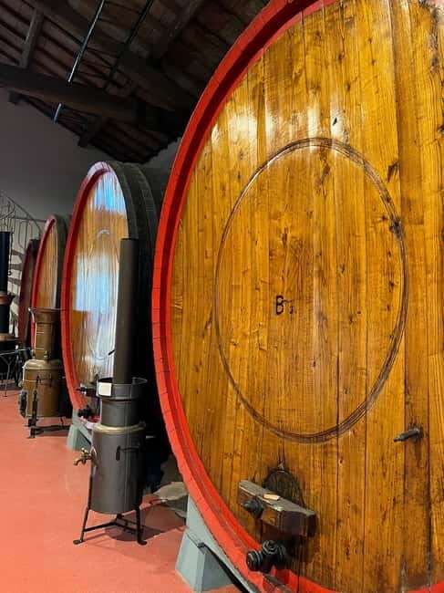 Parmesan, Wine, Balsamic Full Day Tour with Lunch - Who Will Love This Tour?