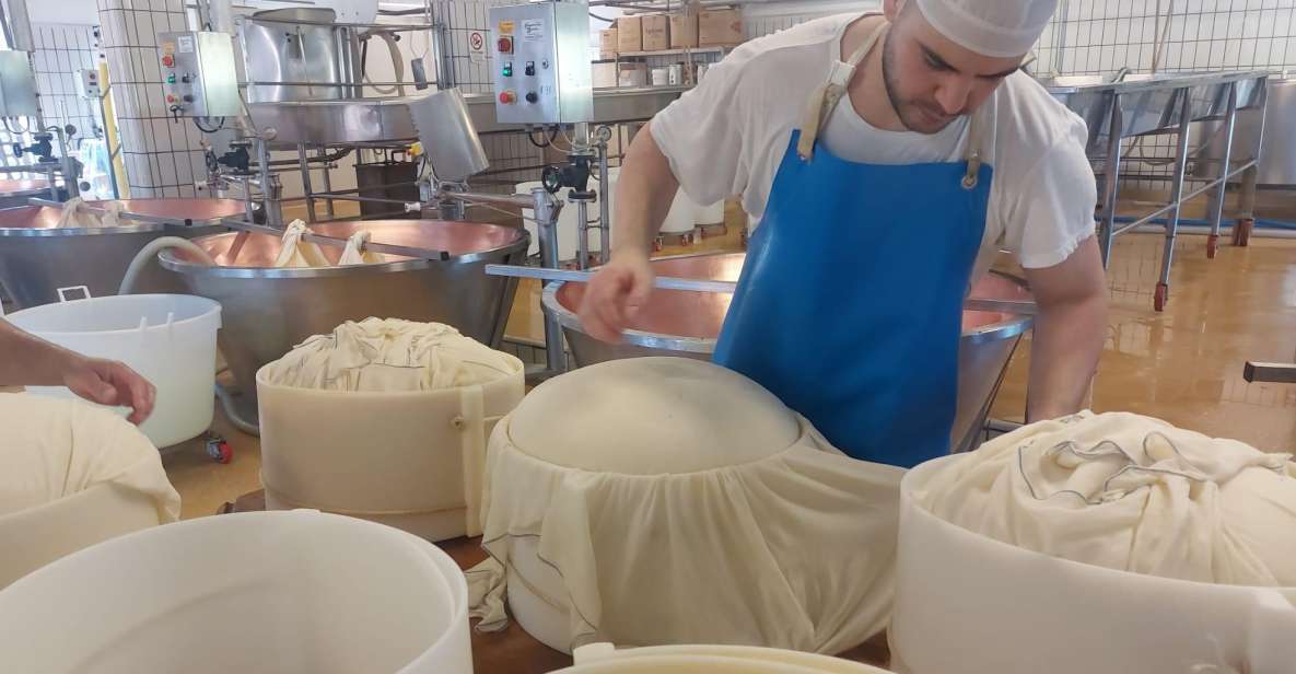 PARMIGIANO DOP DAIRY FARM VISIT AND TASTING NEAR BOLOGNA - Key Points