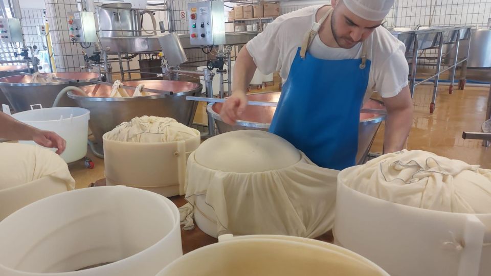 PARMIGIANO DOP DAIRY FARM VISIT AND TASTING NEAR BOLOGNA - Unraveling the Secrets of Parmigiano-Reggiano Making