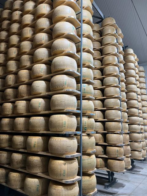 PARMIGIANO DOP DAIRY FARM VISIT AND TASTING NEAR BOLOGNA - Tasting the Diverse Varieties of Parmigiano Cheese