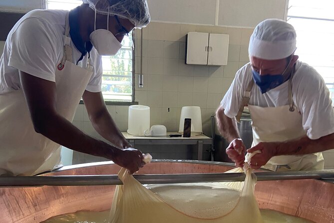 Parmigiano-Reggiano Cheese Factory Small Group Tour From Parma - Flexible Cancellation Policy for Travelers