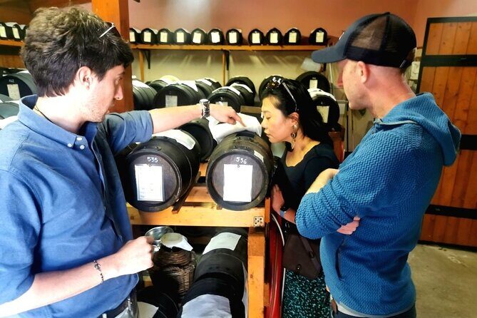 Parmigiano Wine and Balsamic Vinegar Experience from Bologna - A Detailed Look at the Itinerary