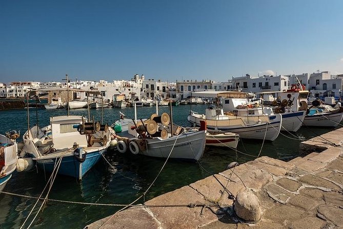 Paros Bus Island Tour - Guide Expertise