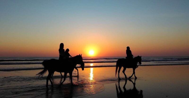 Paros: Morning Island Horseback Riding Adventure - What to Expect from the Horseback Riding Tour