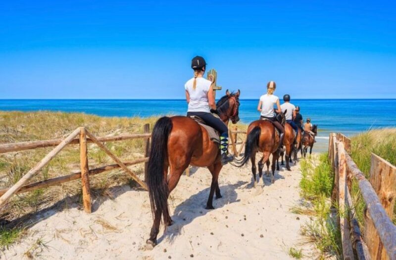Paros: Morning Island Horseback Riding Adventure - The Landscape: Beyond the Beach