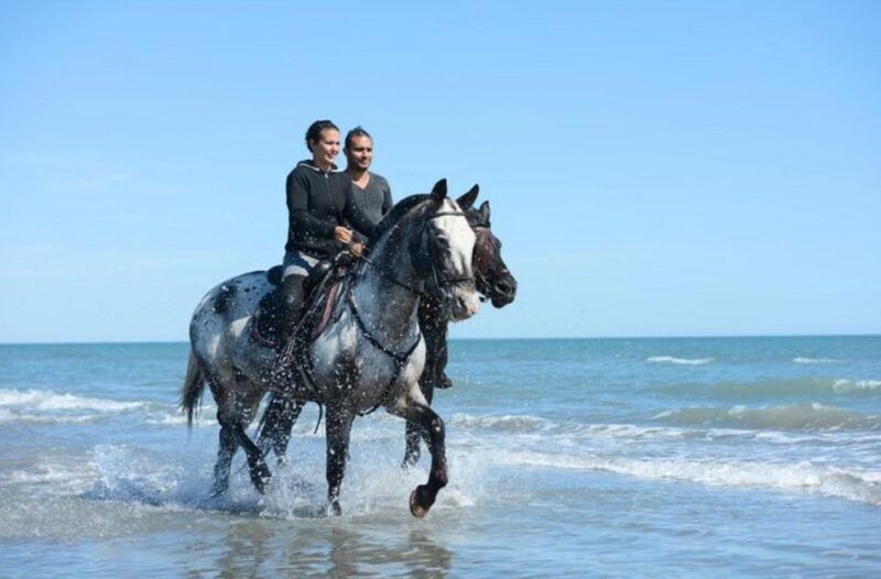 Paros: Morning Island Horseback Riding Adventure - The Sum Up: Who Should Sign Up?