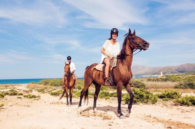 Paros: Morning Island Horseback Riding Adventure - FAQ