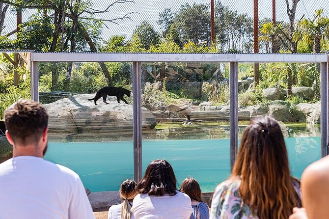 Parrot World Immersive Wildlife Park Entry Ticket Next to Paris - Hands-on Learning