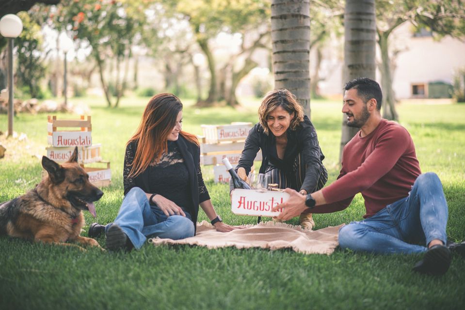 Partinico: Farm Augustali Winery Tour With Picnic & Tastings - Wine Tasting Details